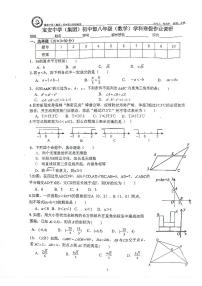 49，广东省深圳市宝安中学（集团）初中部2023-2024学年下学期八年级开学考数学试卷