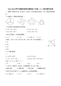 2023-2024学年安徽省芜湖市南陵县八年级（上）期末数学试卷（含解析）