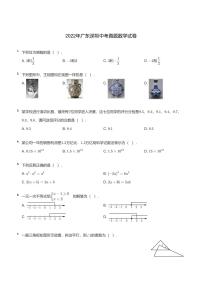 2022年广东深圳中考真题数学试卷