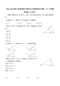 2023-2024学年上海外国语大学松江外国语学校九年级（上）月考数学试卷（9月份）（含解析）