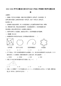 2021-2022学年安徽省合肥市庐江县八年级上学期期中数学试题及答案