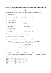 2021-2022学年河南省南阳市邓州市八年级上学期期末数学试题及答案