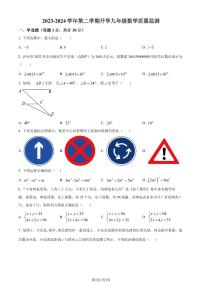 广东惠州河南岸中学2023-2024学年九年级下学期开学考试数学试题