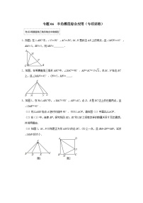 2024年中考数学专题训练 专题06 半角模型综合应用（专项训练）（原卷版+解析）