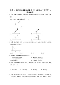 2024年中考数学专题训练 专题11 利用垂线段最短求最值（三大类型含“胡不归”)（专项训练）（原卷版+解析）