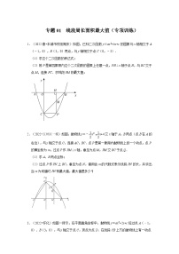 2024年中考数学专题训练 专题01  二次函数压轴题-线段周长面积最大值（专项训练）（原卷版+解析）