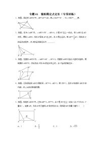 2024年中考数学专题训练 专题01  辅助圆定点定长（专项训练）（原卷版+解析）