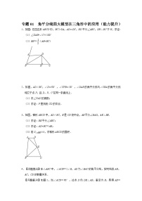 2024年中考数学专题训练 专题01  角平分线四大模型在三角形中的应用（能力提升）（原卷版+解析）