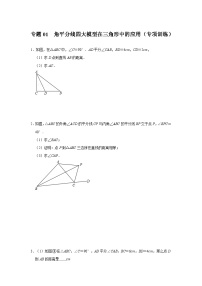 2024年中考数学专题训练 专题01  角平分线四大模型在三角形中的应用（专项训练）（原卷版+解析）