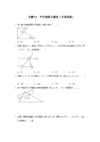 2024年中考数学专题训练 专题03 平行线四大模型（专项训练）(原卷版+解析）