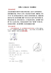 2024年中考数学专题训练 专题05 定角定高（知识解读）