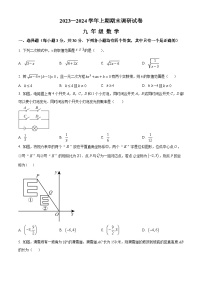 河南省新乡市卫辉市2023-2024学年九年级上学期期末数学试题（原卷+解析）