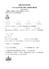 四川省成都市双流区实外西区学校2023-2024学年九年级上学期期中数学试题（原卷+解析）