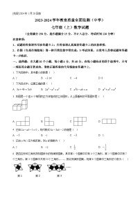 重庆市九龙坡区2023-2024学年七年级上学期期末数学试题（原卷+解析）