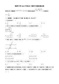 重庆市梁平区梁平区袁驿中学2023-2024学年九年级上学期期中数学试题（原卷+解析）