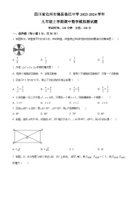 四川省达州市渠县临巴中学2023-2024学年九年级上学期期中数学模拟测试题（原卷+解析）