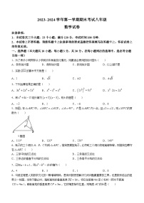 +河南省洛阳市嵩县2023-2024学年八年级上学期期末考试数学试题