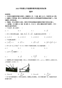 河南省南阳市社旗县2023-2024学年九年级上学期期末数学试题