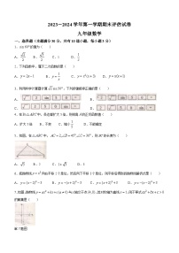 河南省平顶山市宝丰县2023-2024学年九年级上学期期末数学试题