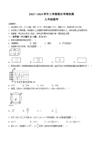 河南省平顶山市郏县2023-2024学年九年级上学期期末数学试题