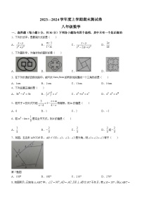 河南省商丘市民权县2023-2024学年八年级上学期期末数学试题