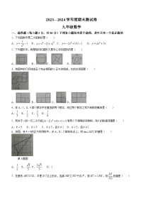 河南省商丘市民权县2023-2024学年九年级上学期期末数学试题