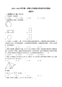 河南省新乡市牧野区河南师范大学附属中学2023-2024学年九年级上学期期末数学试题