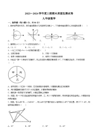 河南省信阳市罗山县2023-2024学年九年级上学期期末数学试题