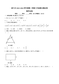 吉林省吉林市舒兰市2023-2024学年八年级上学期期末数学试题