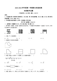山东省青岛市莱西市2023-2024学年九年级上学期期末数学试题