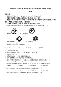 四川省泸州市龙马潭区2023-2024学年九年级上学期期末数学试题