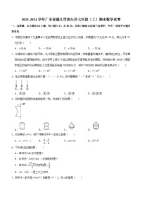 广东省湛江市坡头区2023-2024学年七年级上学期期末数学试卷（无答案）