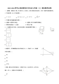 山东省青岛市市北区2023-2024学年九年级上学期期末数学试卷（含解析）
