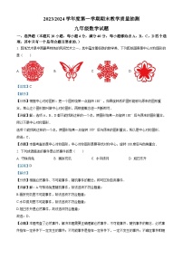 01，安徽省合肥市庐江县2023-2024学年九年级上学期期末数学试题