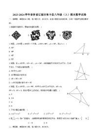 17，吉林省辽源市东丰县2023-2024学年八年级上学期期末数学试卷