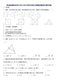 四川省成都市金牛区2023-2024学年九年级上学期期末模拟练习数学试题