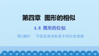 北师大版九年级上册8 图形的位似教课ppt课件