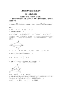 福建省泉州市联考2023-2024学年八年级上学期月考数学试卷(含答案)