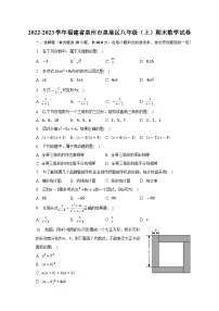 福建省泉州市泉港区2022-2023学年八年级上学期期末考试数学试卷(含解析)