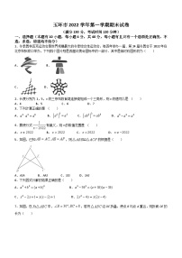 浙江省台州市玉环市2022-2023学年八年级上学期期末数学试题(含答案)