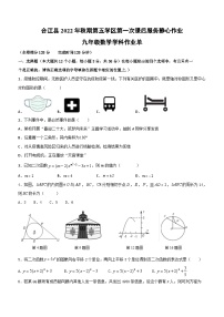 四川省泸州市合江县第五片区2022-2023学年九年级上学期期末定时作业数学试题（含答案）