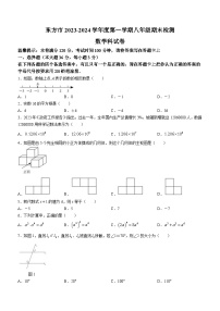 海南省省直辖县级行政单位东方市2023-2024学年八年级上学期期末数学试题(无答案)