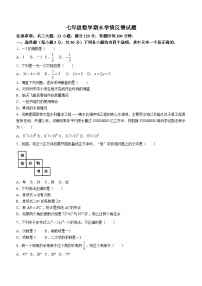 河南省驻马店市重点中学2023-2024学年七年级上学期期末数学试题(无答案)