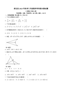 海南省省直辖县级行政单位澄迈县2023-2024学年八年级上学期期末数学试题(含答案)