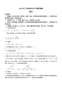 河南省新乡市原阳县2023-2024学年八年级上学期期末数学试题(含答案)