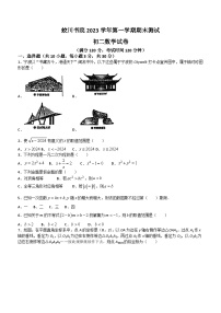 浙江省宁波市镇海区镇海蛟川书院2023-2024学年八年级上学期期末数学试题(无答案)