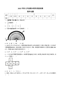 河南省驻马店市上蔡县2023-2024学年七年级上学期期末数学试题(无答案)