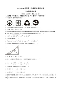 山东省日照市东港区日照高新区中学2023-2024学年八年级上学期期末数学试题(无答案)