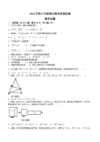 河南省驻马店市上蔡县重点中学2023-2024学年八年级上学期期末数学试题(无答案)