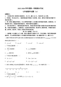 山东省滨州市滨城区2023-2024学年七年级上学期期末考试数学试题(含答案)